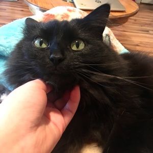 Meet your Posher, Chloe